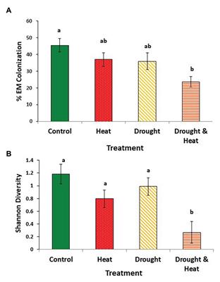 Ectomycorrhizal and Dark Septate Fungal Associations of Pinyon Pine Are Differentially Affected by Experimental Drought and Warming